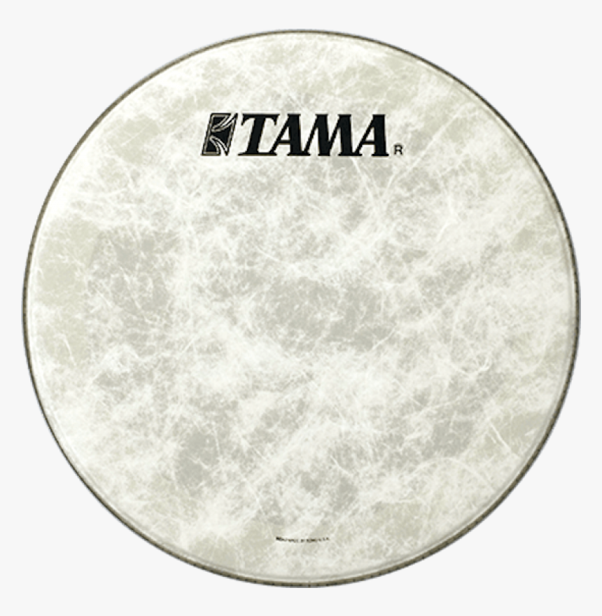 "
							title=" - Tama, HD Png Download, Free Download