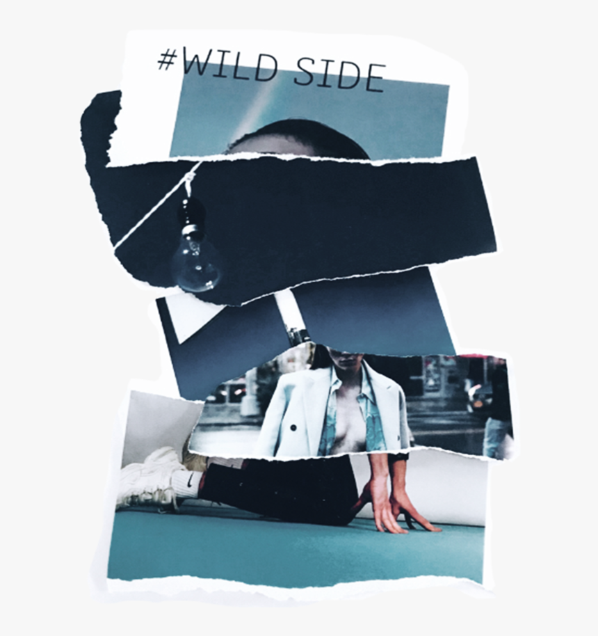 #wildseide Collage Art 2018, HD Png Download, Free Download