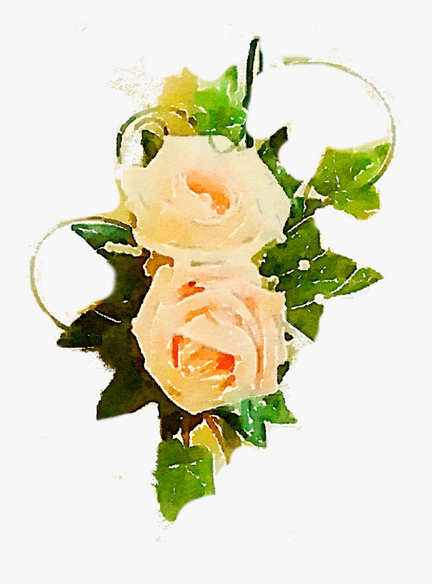 Free Rose Png Vine - Real Flowers Vine Clipart, Transparent Png, Free Download