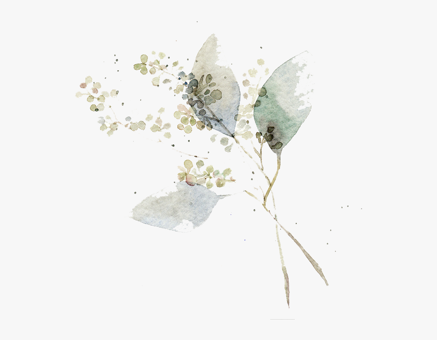 Watercolor Painting Flower Art Illustration Watercolor - Transparent White Flower Art, HD Png Download, Free Download