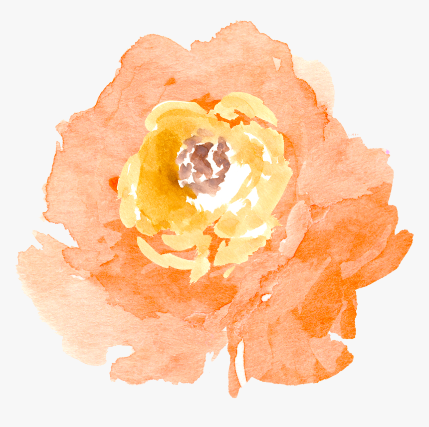 Orange Transparent Watercolour - Transparent Background Watercolor Flower Clipart, HD Png Download, Free Download