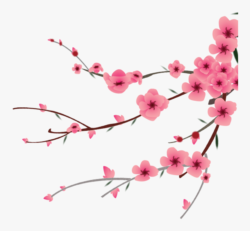 Transparent Flower Clipart Png - Peach Blossom Png, Png Download, Free Download