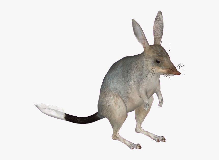 Bilby Zt2, HD Png Download, Free Download