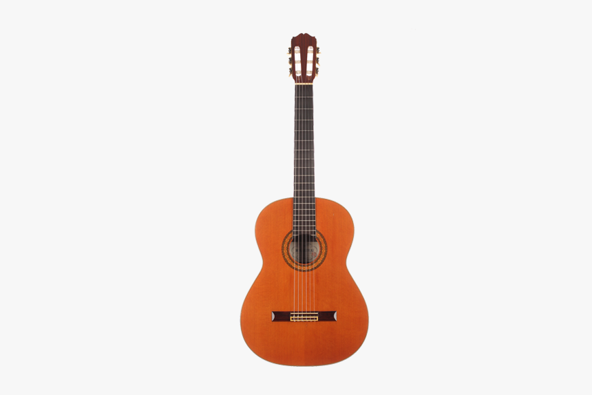 Guitar, HD Png Download, Free Download