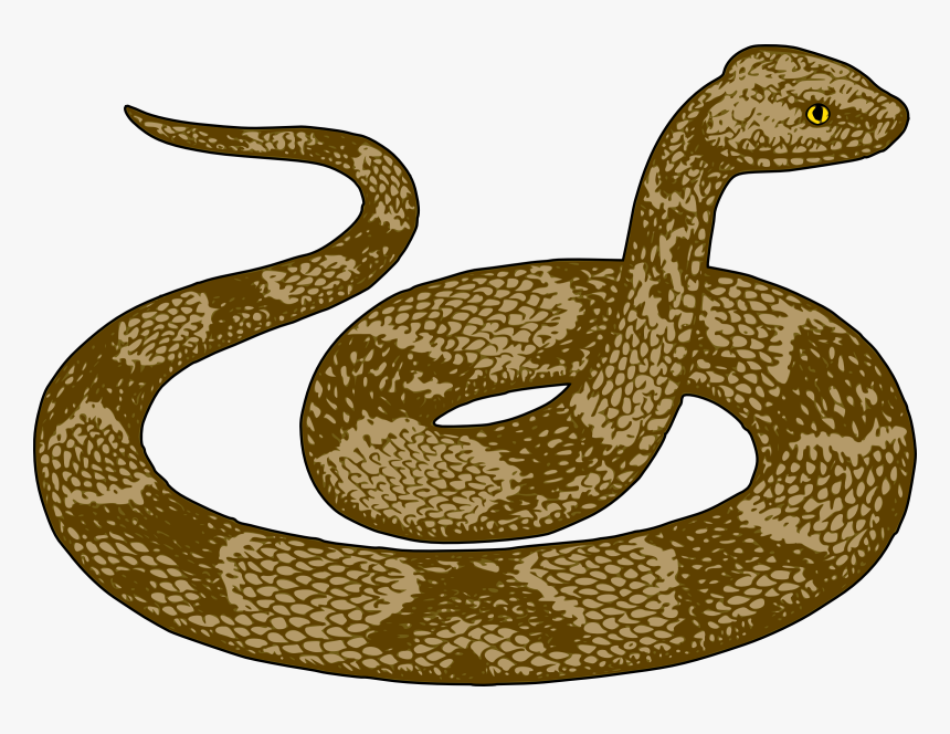Reptile Clipart Transparent - Snake Clipart Scary, HD Png Download, Free Download