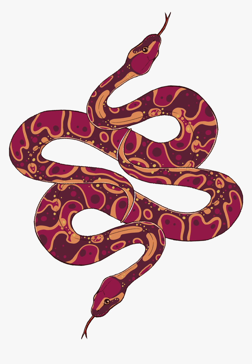 Python, HD Png Download, Free Download