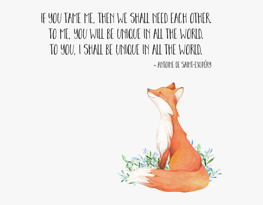 Little Prince Fox Png, Transparent Png, Free Download