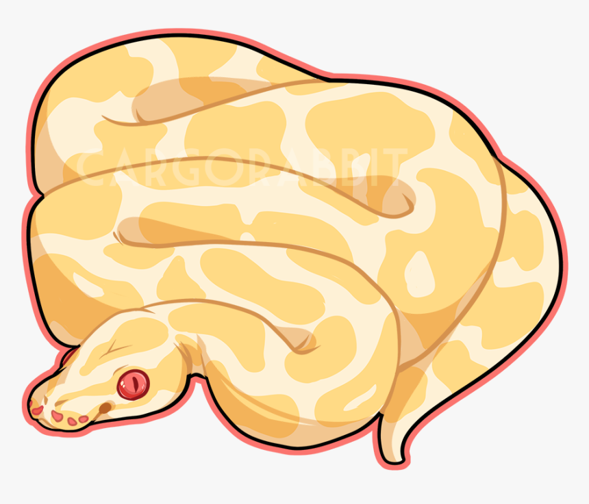 Albino Ball Python [f5] - Burmese Python Python Drawing, HD Png Download, Free Download