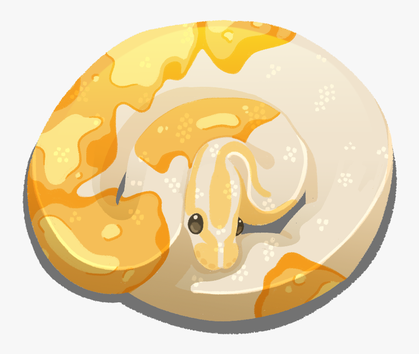 Snefbun - Ball Python Designs Logo, HD Png Download, Free Download