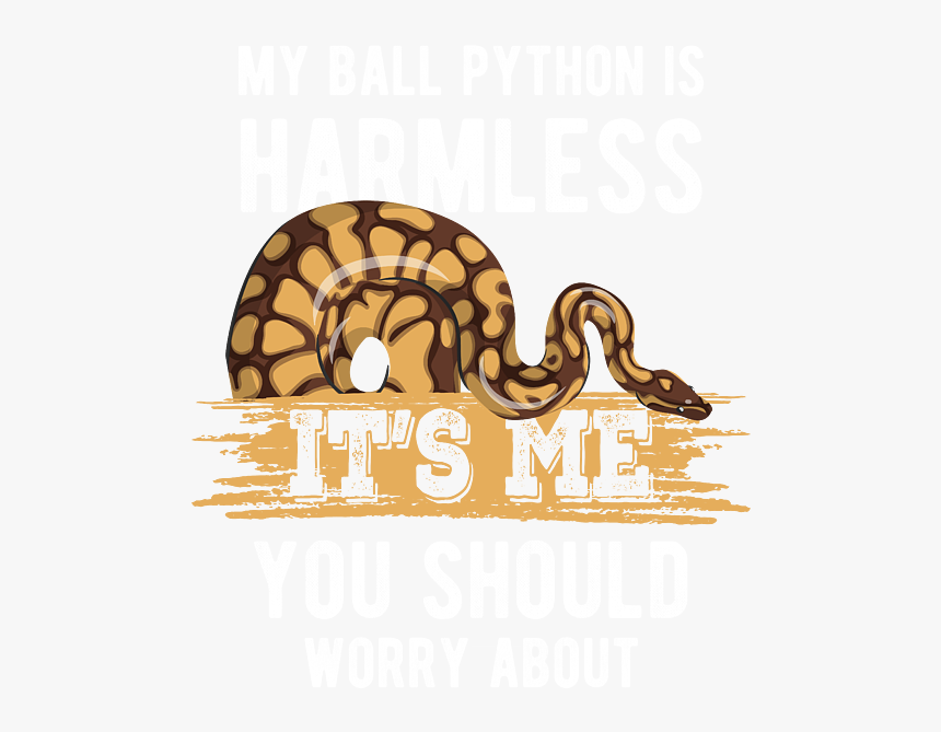 Python, HD Png Download, Free Download