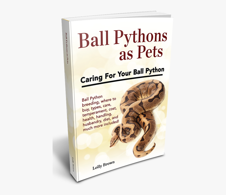 , Ball Pythons Landing, Ball Pythons As Pets - Boa Constrictor, HD Png Download, Free Download