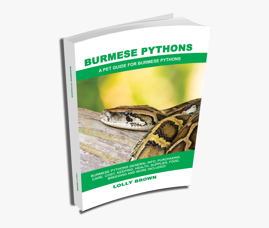 , More Books, Ball Pythons As Pets - Burmese Python, HD Png Download, Free Download