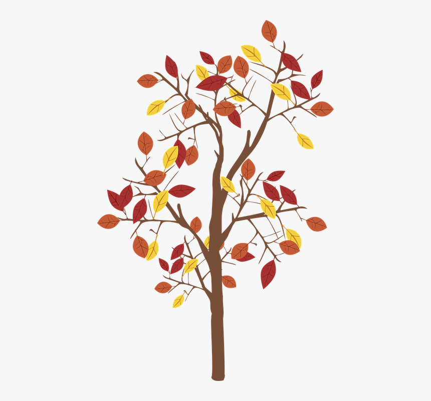 Graphic, Fall Tree, Tree, Leaves, Fall, Brown, Leaf - Tree Leaves Falling Clip Art, HD Png Download, Free Download