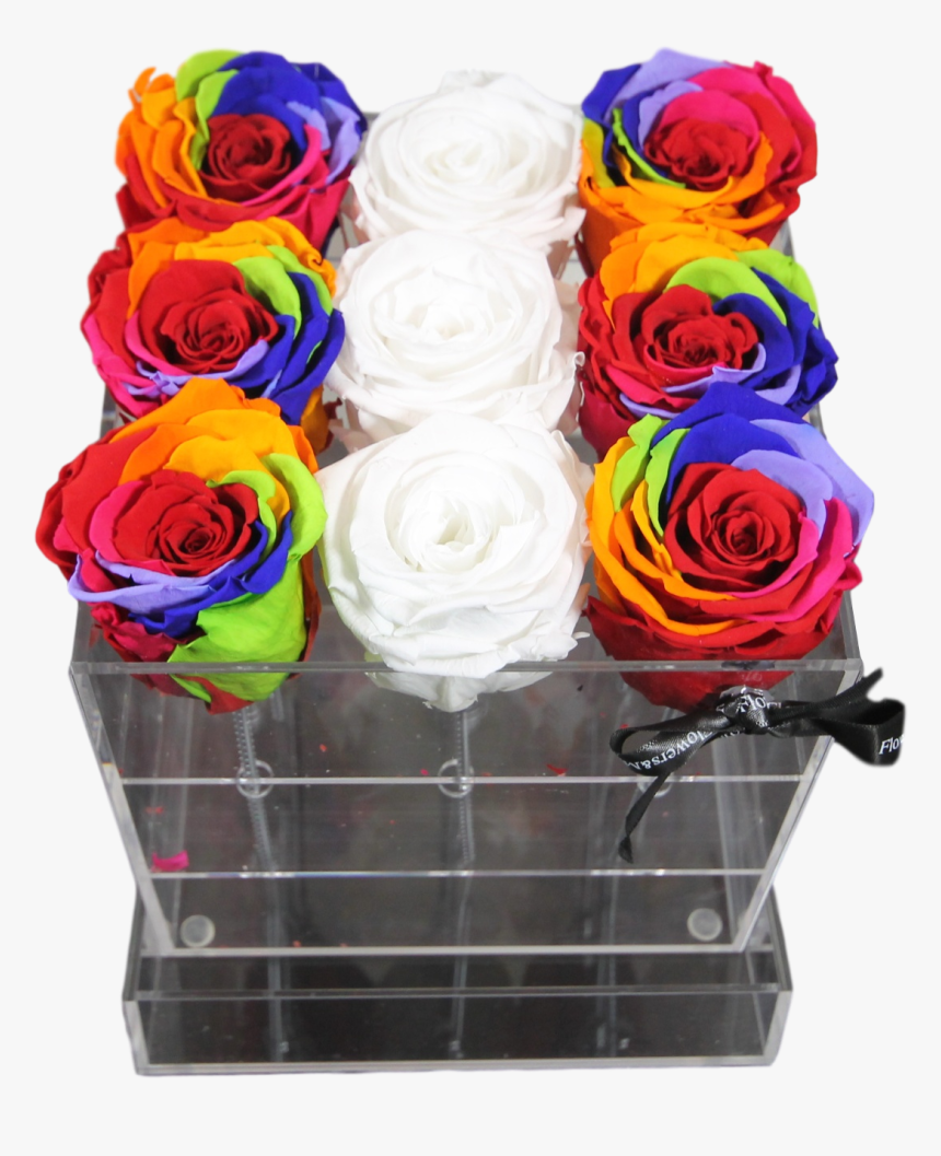 Transparent Rainbow Rose Png - Garden Roses, Png Download, Free Download