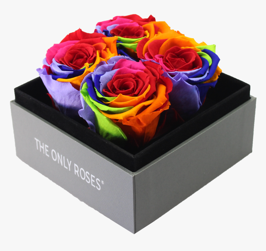 Rainbow Rose, HD Png Download, Free Download