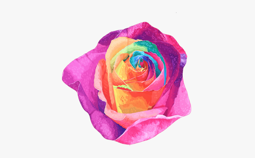 Twinkledeals - Rainbow Rose, HD Png Download, Free Download