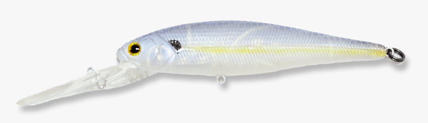 Sardine, HD Png Download, Free Download