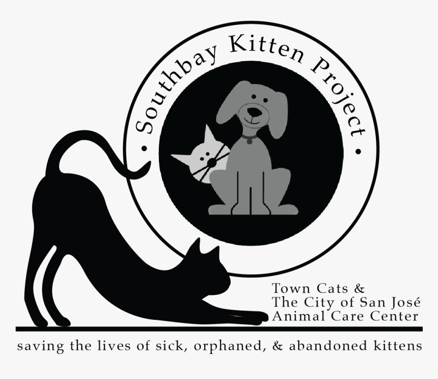 Introducing The South Bay Kitten Project - Illustration, HD Png Download, Free Download