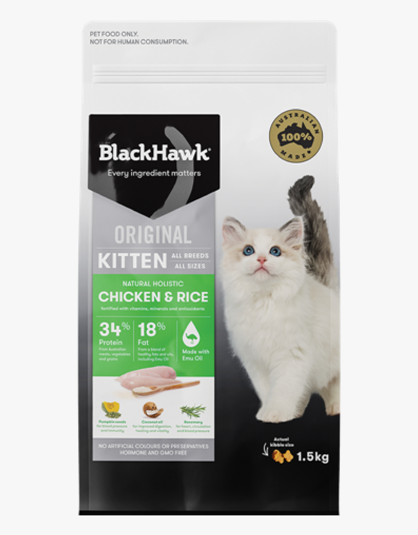 Black Hawk Kitten, HD Png Download, Free Download