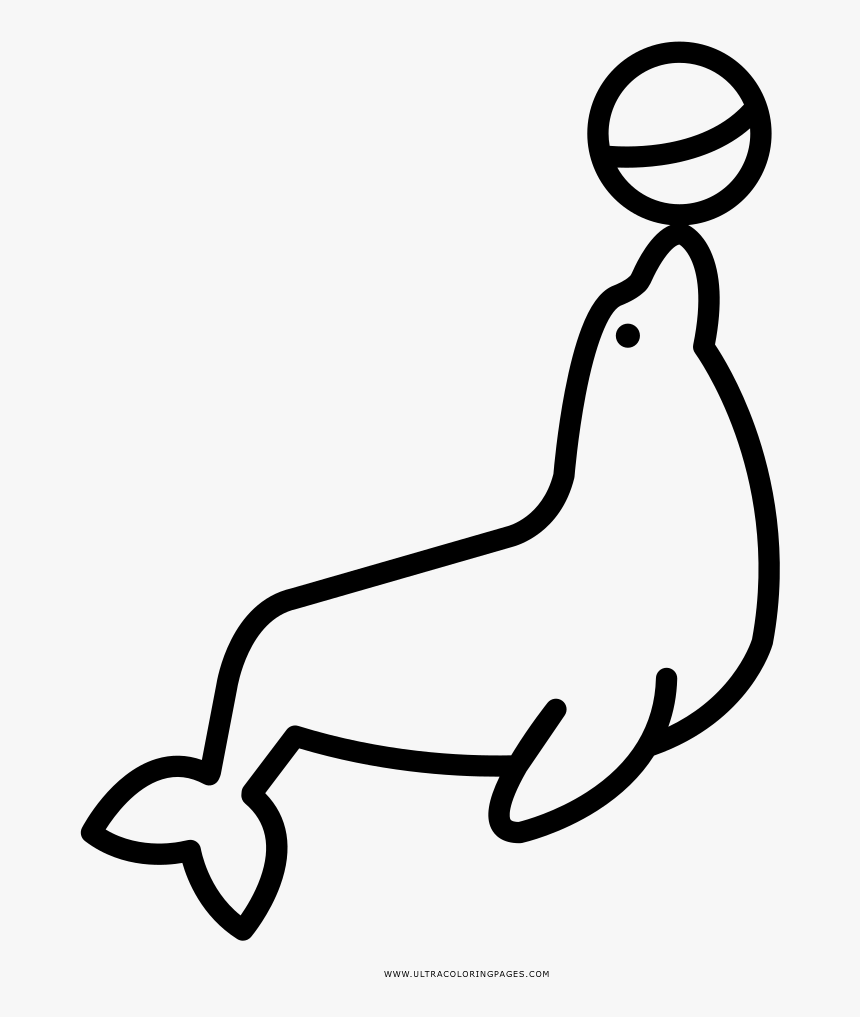 Transparent Circus Lion Png - Desenhos Para Colorir De Circo, Png Download, Free Download
