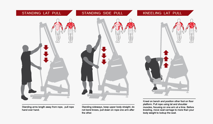 Rope Trainer Muscles Worked, HD Png Download - kindpng