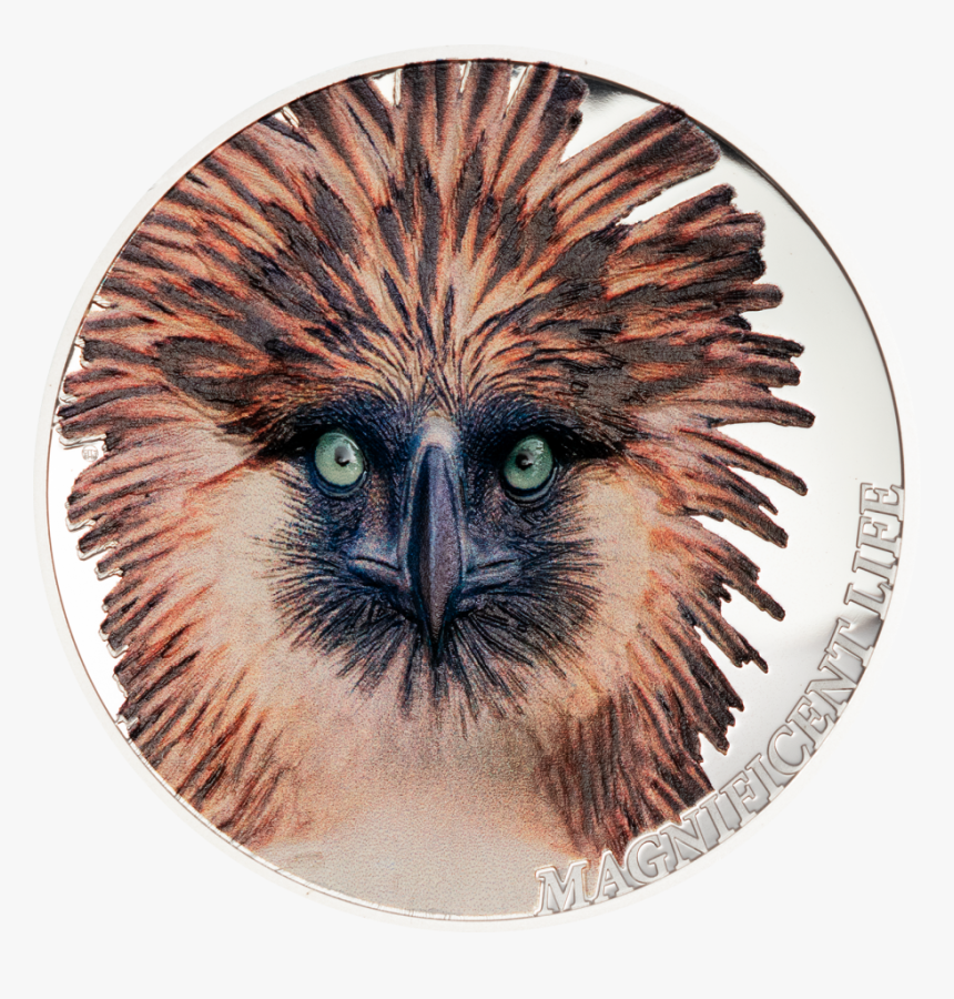Philippine Eagle Magnificent Life 1 Oz Silver Coin, HD Png Download, Free Download