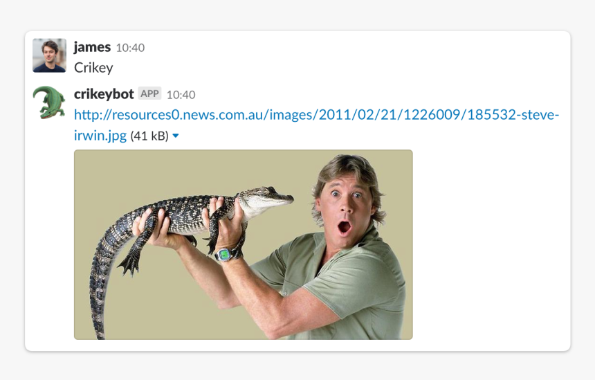 Crikey Slack Integration - Steve Irwin Transparent Background, HD Png Download, Free Download