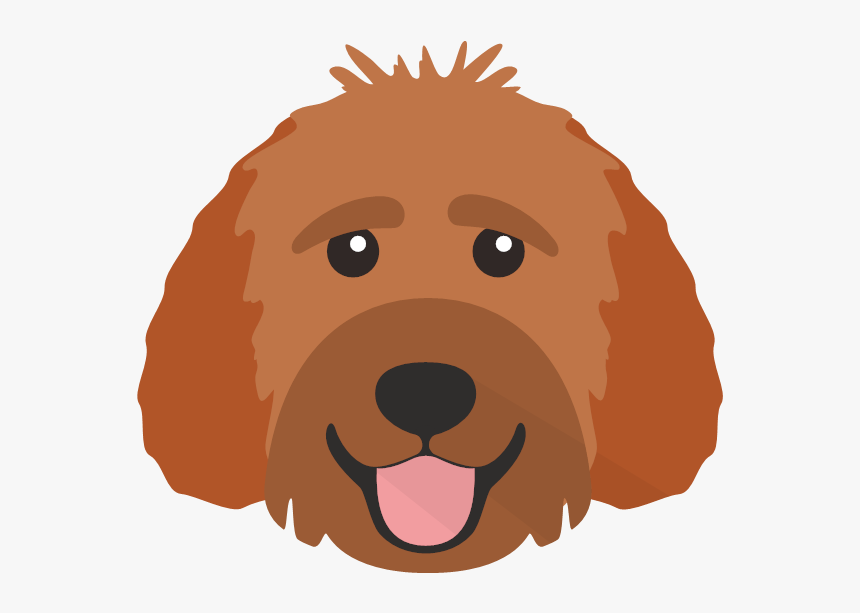 Dog Breed Spanish Water Dog Illustration, HD Png Download, Free Download