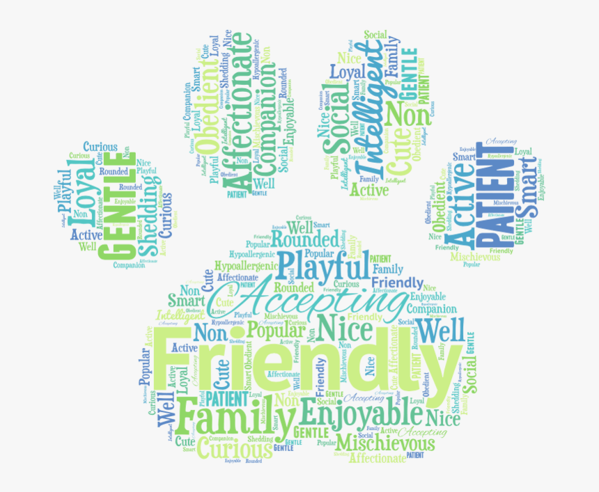 Goldendoodle Word Art - Printing, HD Png Download, Free Download