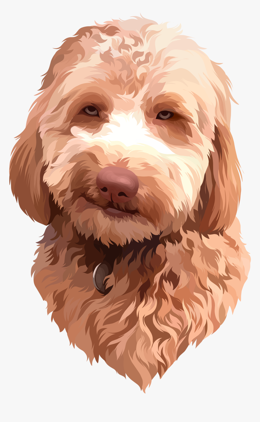 Transparent Labradoodle Clipart - Goldendoodle, HD Png Download, Free Download