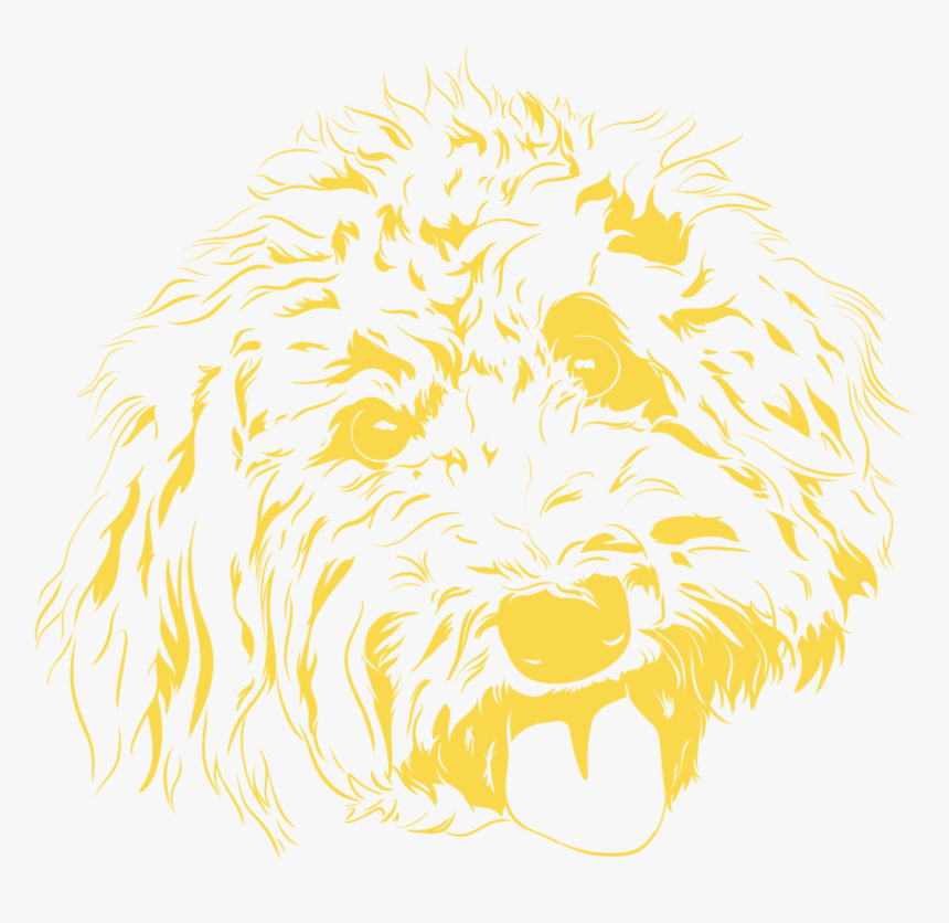 Goldendoodle Sketch Yellow - Dog Yawns, HD Png Download, Free Download