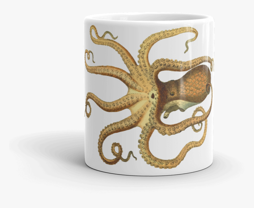 Vintage Octopus Drawing, HD Png Download, Free Download