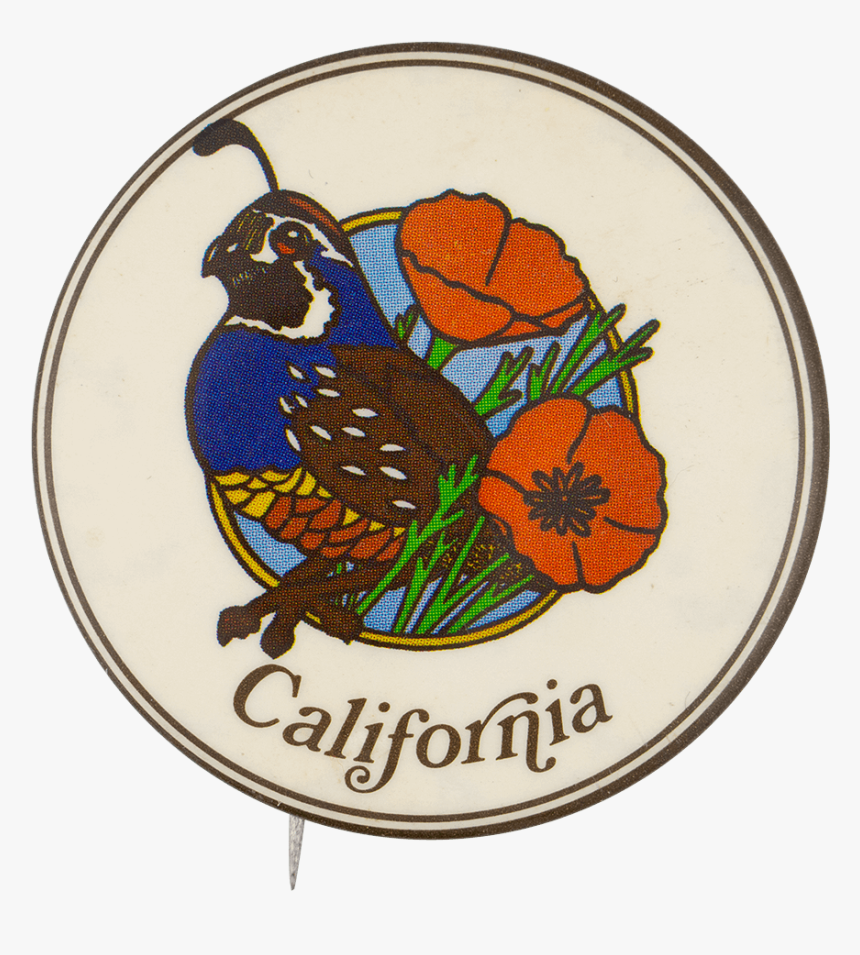 California Poppy Png, Transparent Png, Free Download