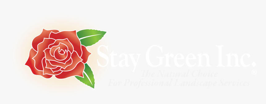 Stay Green Inc - Santa Clarita Ca Stay Green Inc, HD Png Download, Free Download