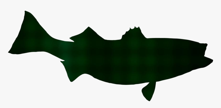 Transparent Striped Bass Png Image - Cartilaginous Fish, Png Download, Free Download