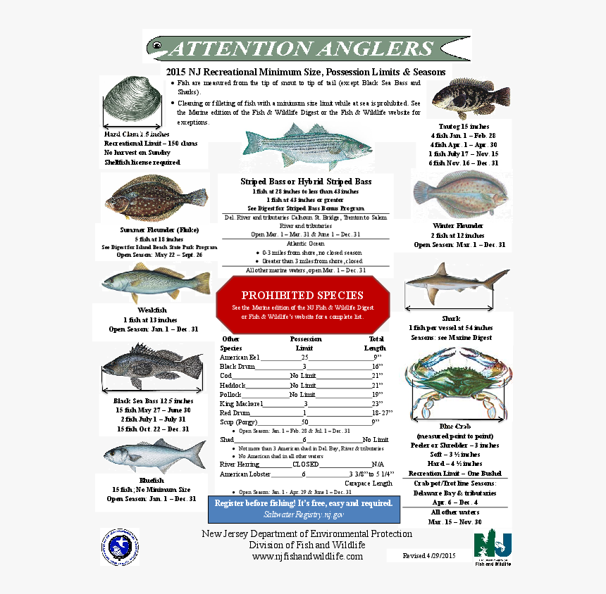 Nj Saltwater Fishing Regulations - Nj Fishing Regulations 2019, HD Png Download, Free Download