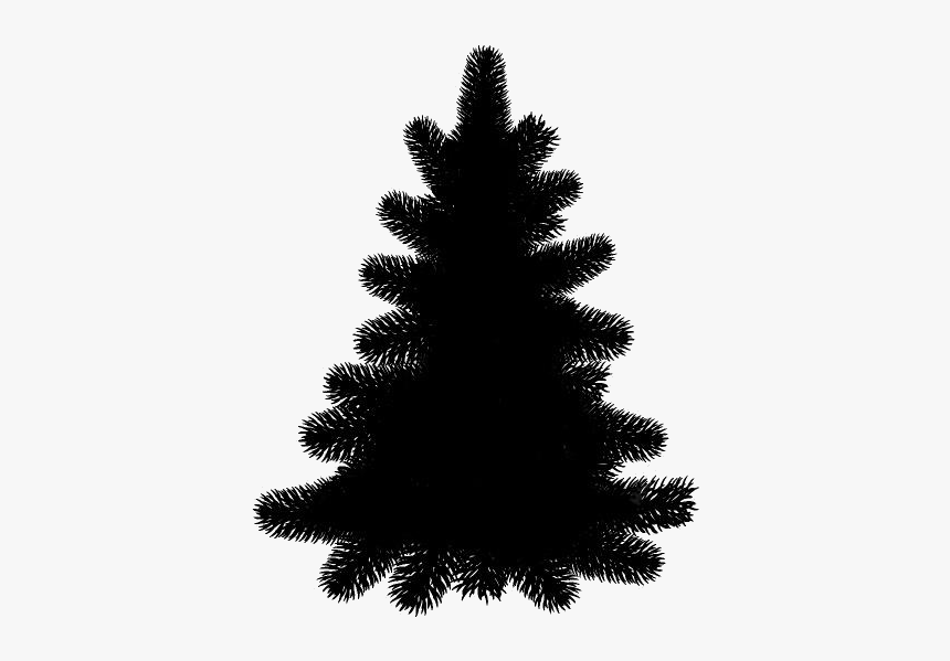 Pine Tree Png Transparent Images - Clip Art, Png Download, Free Download