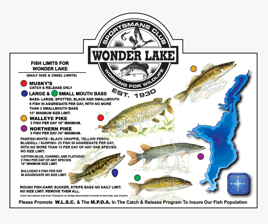 Fish-chart - Wonder Lake Il Dam, HD Png Download, Free Download