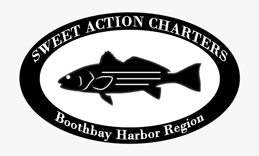 Sweet Action Charters - School, HD Png Download, Free Download