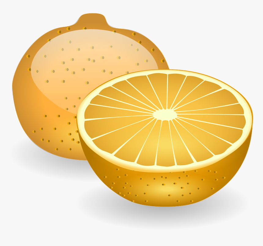 Orange Fruit Slices Free Photo - Pomelo, HD Png Download, Free Download