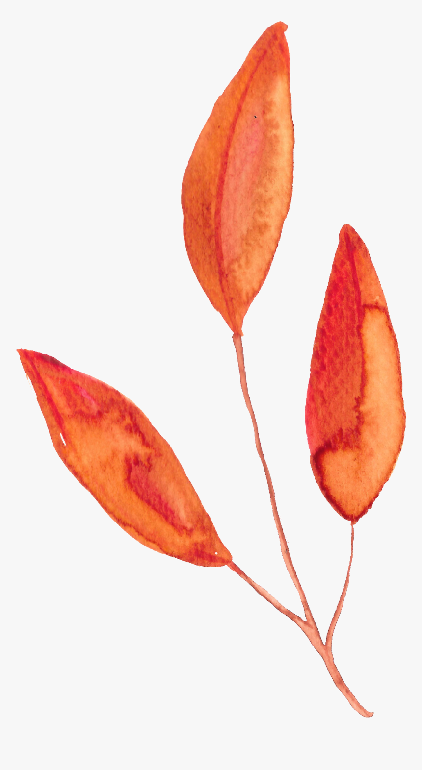 Hand Painted Orange Three Slices Of Leaf Watercolor - Orange Leaves Watercolor Png, Transparent Png, Free Download