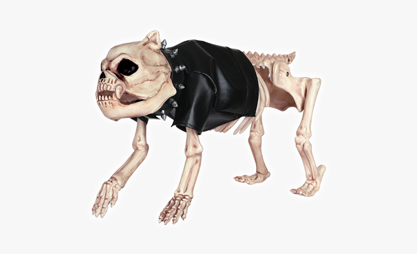 Skeleton Dog Dress Up Kit - Skeleton Dog Png, Transparent Png, Free Download