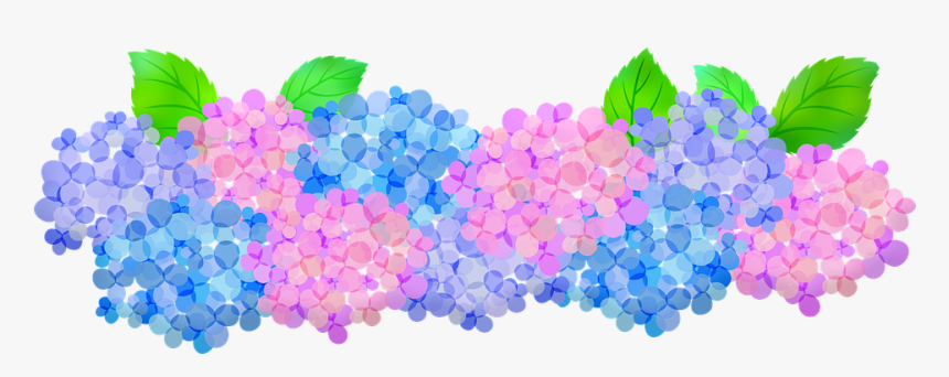 Hydrangeas Clip Art, Floral, Pink And Purple Hydrangeas - Blue Hydrangea Transparent Kawaii, HD Png Download, Free Download