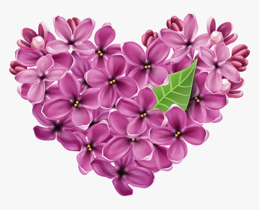 Lilac Png - Transparent Lilacs Clipart, Png Download, Free Download