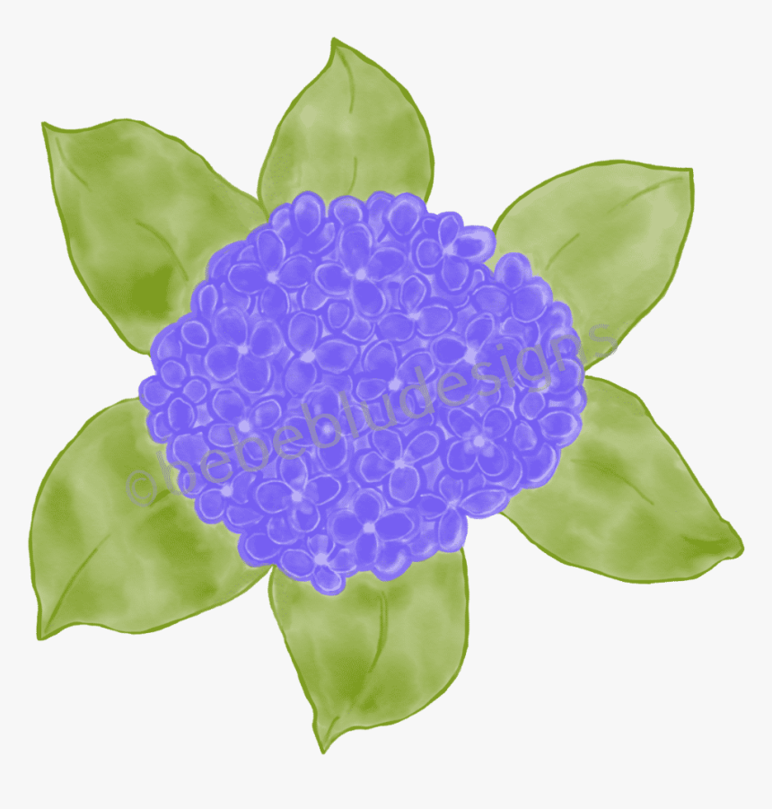 Hydrangea Use Top View Better Leaves - Rose, HD Png Download, Free Download