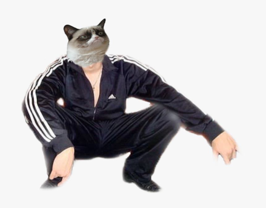 #slav #russia #ussr #cat #grumpycat #grumpycatmemes - Ussr Cat, HD Png Download, Free Download