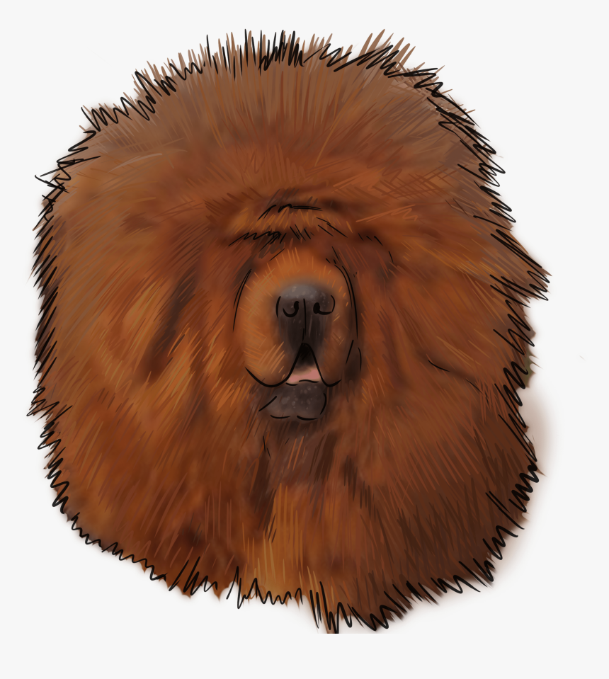 Tibetan Mastiff, HD Png Download, Free Download