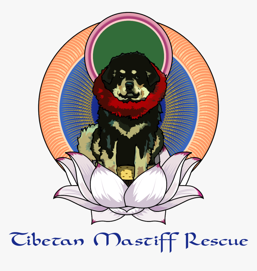 Transparent Mastiff Png - Dog, Png Download, Free Download