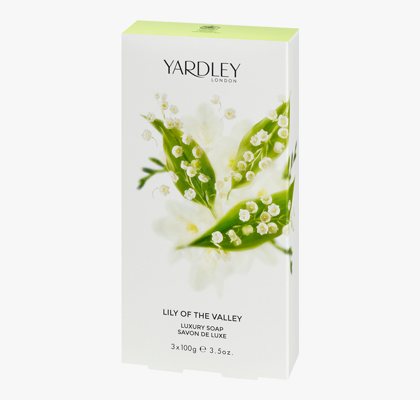 Lily Of The Valley Yardley, HD Png Download, Free Download