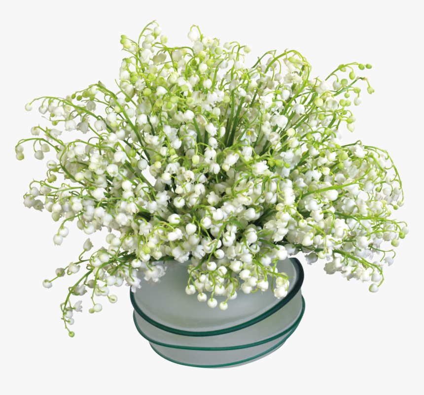 Transparent Lily Of The Valley Png - Ландыши Фото, Png Download, Free Download